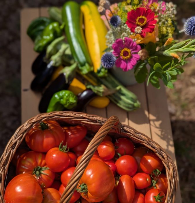basket of vegetables from the garden